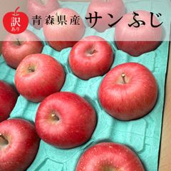 【新物訳あり】青森県産りんご（サンふじ）約4～5Kg（12玉～16玉）【北海道～関東・信越エリア限定】