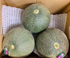 118糖度18度以上！茨城県旭村産プレミアムメロン極クインシー3L1箱4玉