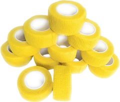 Item thumbnail for item e13f7ff5-0d56-422c-975c-431dcbfa4515