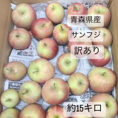 訳あり☆青森県産りんご　色薄　約15キロ