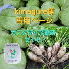 kimagure様専用ページ　カスタマイズ野菜セット