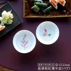 2025年最新】平盃の人気アイテム - メルカリ