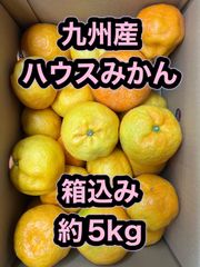 北海道沖縄追加送料無し 九州産ハウスみかん 箱込み約5kg