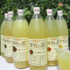 青森県産100%りんごジュース｢津軽の里｣（1L×6本）