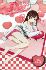 2026年最新】水原千鶴 ビッグタペストリー 「彼女、お借りします×UNDER