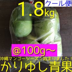 沖縄県産 摘果マンゴー/青マンゴー/グリーンマンゴー@100g〜約1.8kg【クール便】②