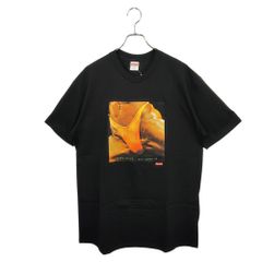 Supreme シュプリーム 21SS Butthole Surfers Rembrandt Pussyhorse Tee Tシャツ XL ブラック