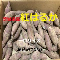 【茨城県産】甘いさつまいも　一口サイズ紅はるか　箱込み10kg/ ヤマト配送