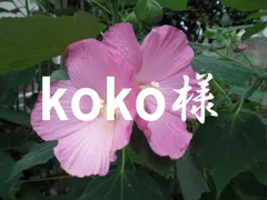 koko様　専用ﾍﾟｰｼﾞ