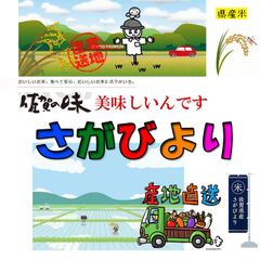 米 10kg 送料無料 新米 佐賀びより 白米 令和4年産 さがびより 精米済