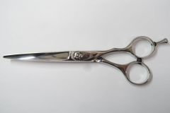 Item thumbnail for item f44103d1-8116-4d3e-8981-fa43be6b863d