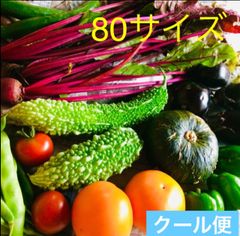 夏野菜セット　ゴーヤ　いんげん　なす　ニンニク　ピーマン　ししとう　　おまかせセット　クール便　８０サイズ　栽培期間中農薬不使用