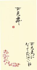 新品 伊予結納センター 日本製 祝儀袋 手書き金封 心温 お見舞用 お見舞 イエロー V111-21