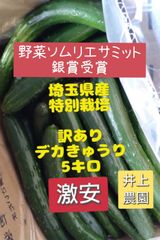 割引クーポンで100円引き！5キロ弱！リピーター続出！デカきゅうり！　野菜ソムリエサミット銀賞受賞　農家直送　減農薬　有機肥料　ちょいデカきゅうり　訳あり　5kg