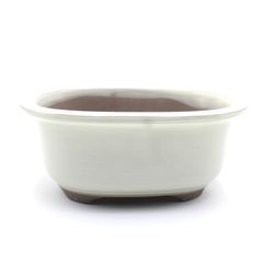 【未使用】盆栽鉢 5号 小判エン付鉢 白色 クリーム釉 瀬戸焼 陶器 深め 山野草 雑木 松柏 小品 小さい 約16センチ 植木鉢 苔 うめきち盆栽用品店
