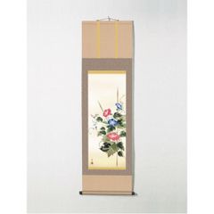 6-43 掛軸 楢崎鉄香 紅蜀葵図 木箱 画讃 茶道具 茶掛 花 季節 - メルカリ