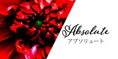 shop-thumbnail