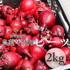 七久里農園 ビーツ (根) 2㎏ 長野県産 / 無農薬 有機肥料使用