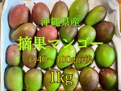 沖縄県産　摘果マンゴー　1kg