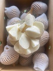 業者直販+激安値段 三浦産 秀品 大玉スイカ 3L 約8.5kg*2玉 発送