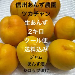生あんず  [事前予約]  2キロ 「優品」 加工用　クール便発送 [6月中旬〜7月上旬発送予定] 信州 千曲市 産地直送 杏 ジャム シロップ漬け あんず酒  ドライアンズ 送料込み