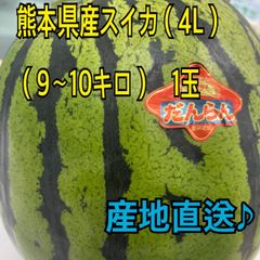 産地直送　熊本県産　スイカ×1玉　秀品　4Lサイズ(9～10キロ)