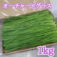 生牧草 オーチャードグラス 1kg