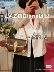 【今日特価】LV ジップ付き Diane ハンドバッグ 送料無料！在庫限定価格