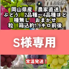 岡山県産　ぶどう　粒　2品種〜4品種くらい(日によってバラバラ)　箱込み1.9キロ前後