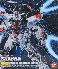 2026年最新】MG ストライクフリーダム 大河原邦男の人気アイテム
