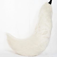 Item thumbnail for item 06db6e5a-e4cc-4e7b-b4a0-3d28880d70c7