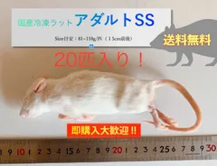 【送料無料】国産冷凍ラットアダルトSS20匹入@即購入OK！北海道・沖縄の方も送料無料です！