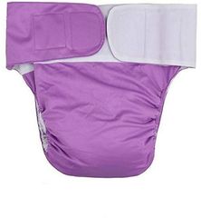 Item thumbnail for item c1931db7-e437-4c3c-a24a-c21dc7e4e243