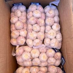 [5月29日木曜日に入荷予定、入荷次第出荷]　生鮮 中国産ニンニク　特選　１箱10kg