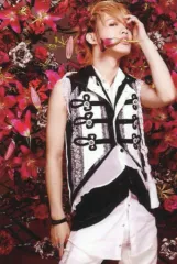 【中古】コレクションカード(男性) Alice Nine(A9)/ヒロト/膝上・衣装白・黒・左手頭・花咥え・背景花/Alice Nine 2009 LAST LIVE 『WHITE PERIOD II』会場限定物販トレカ