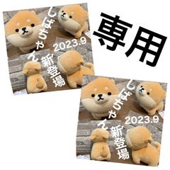 ★専用ページ★