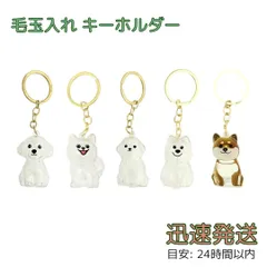 しばいーぬページ 51kRDXDOugL._UF350,350_QL80_.jpg