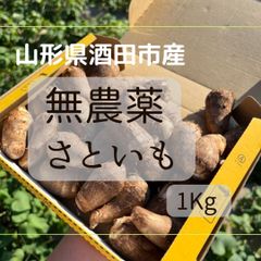 【無農薬】【お試し】山形県酒田市産　里芋1Kg【産地直送】