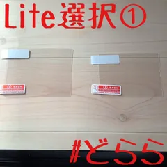新品 DS Lite液晶保護フィルム+選択①セット ミニレター