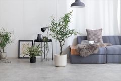 【高さ125cm】Nature 光触媒人工観葉植物 オリーブ
