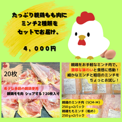 親鶏もも肉たっぷり+親鶏ミンチ２種類セット