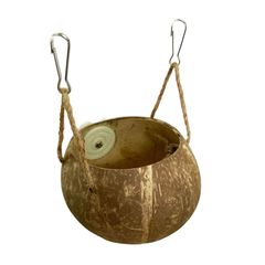 Item thumbnail for item d0c61ec5-6a6f-4103-8ec6-d09d2de57b24