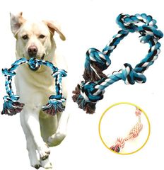 Item thumbnail for item 82cadf06-bd76-48e4-9309-c7b65a697bc9