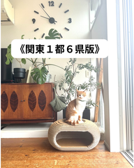 【関東1都6県配送限定: 特別価格】DANBOのネコちぐら（段ボール製ねこちぐら）