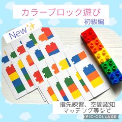 10セット限定★初級編　カラーブロック遊び　モンテッソーリ  指先運動　色合わせ　家庭学習　視覚支援　空間認知