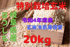 岐阜県特産はつしも玄米20kg（特別栽培米）令和4年度産（農家直販）