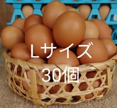 けんちゃん赤卵Lサイズ30個　　たまご　朝採れ　玉子　青森県産