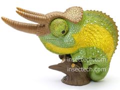 【動物の惑星】ジャクソンカメレオン フィギュア