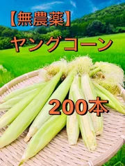 2025年最新】ヤングコーン皮付きの人気アイテム - メルカリ