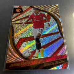 Panini Soccer テディ・シェリンガム マンチェスター・ユナイテッド
